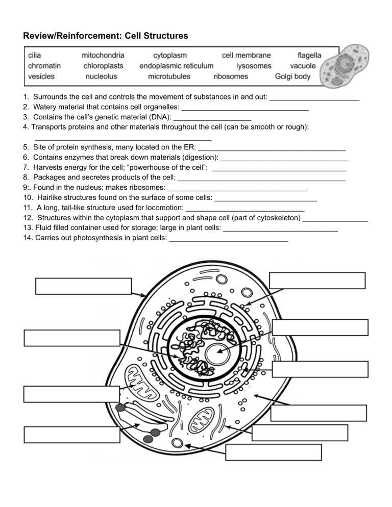 10 2 review and reinforcement answer key
