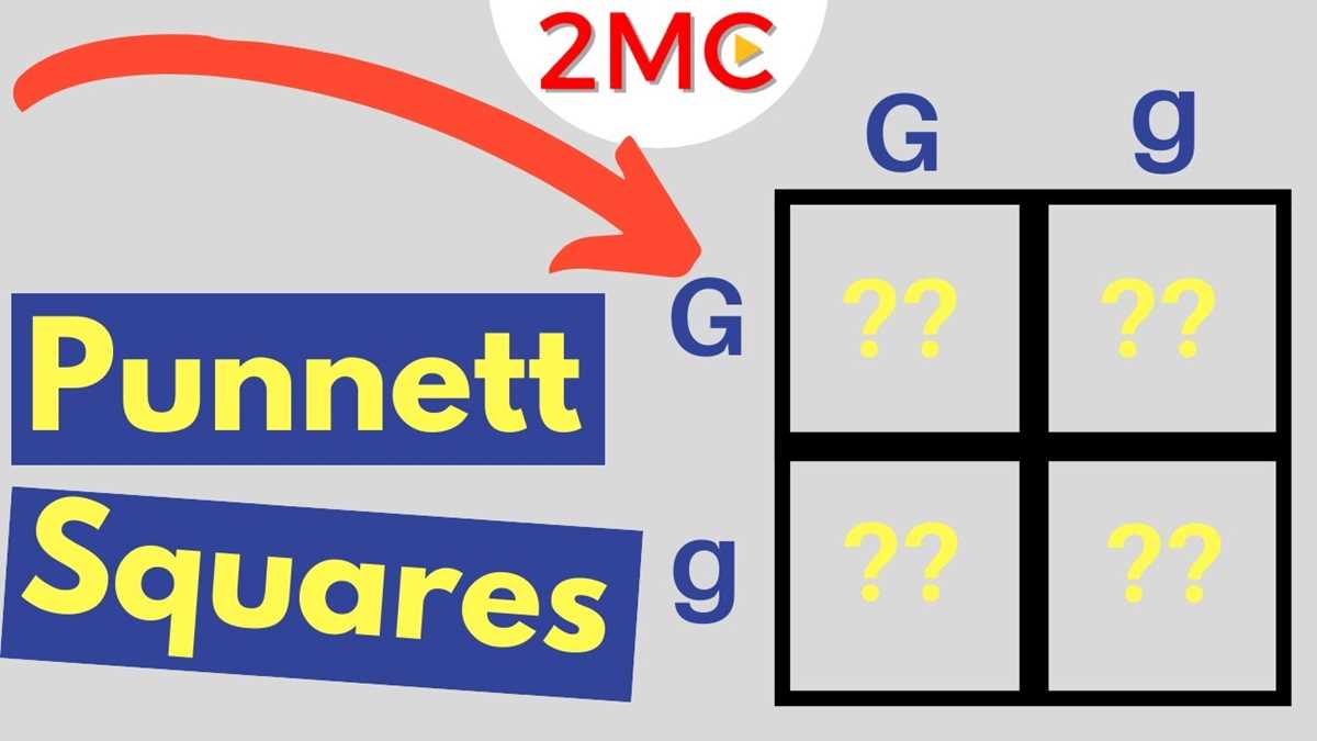11 2 probability and punnett squares answer key 11 2 probability and punnett squares answer key