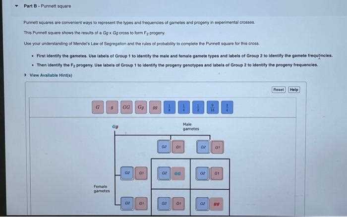 11 2 probability and punnett squares answer key 11 2 probability and punnett squares answer key