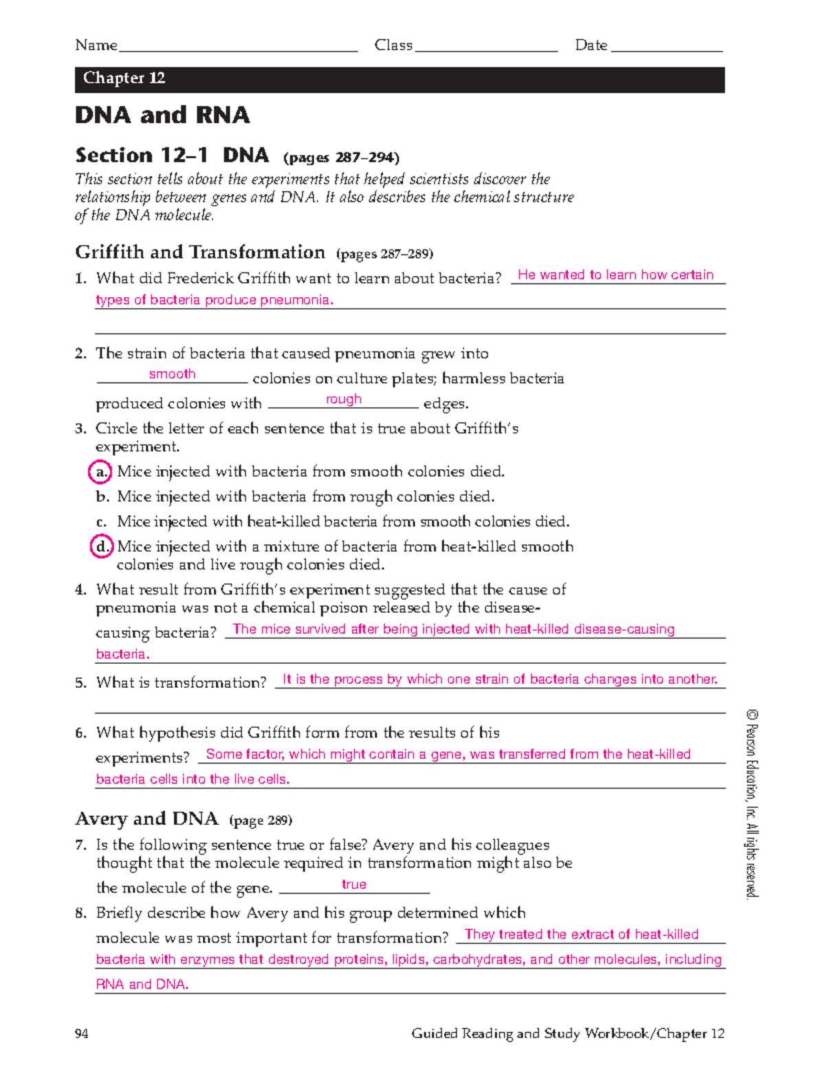 12 3 rna and protein synthesis answer key
