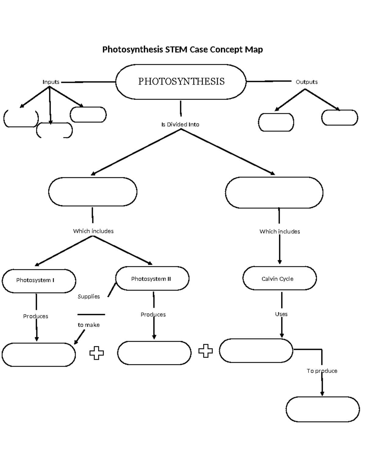 13.4 food chains and food webs study guide answer key