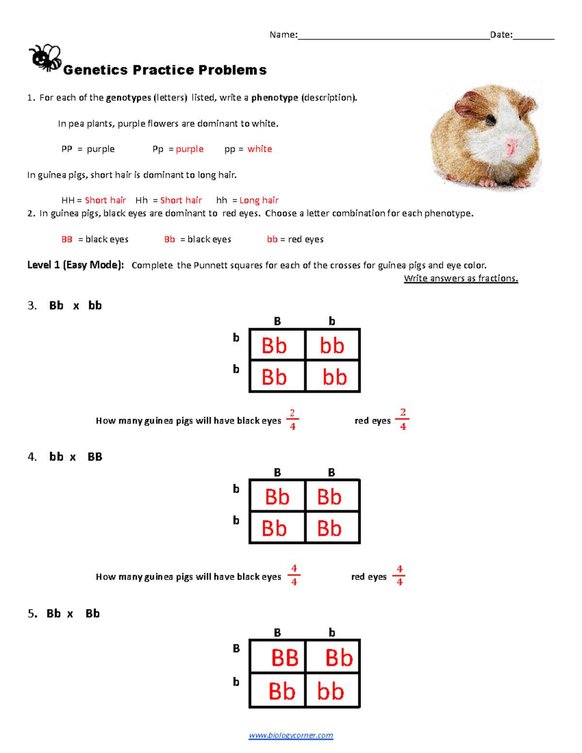 14 genetics problems define these terms in writing answer key