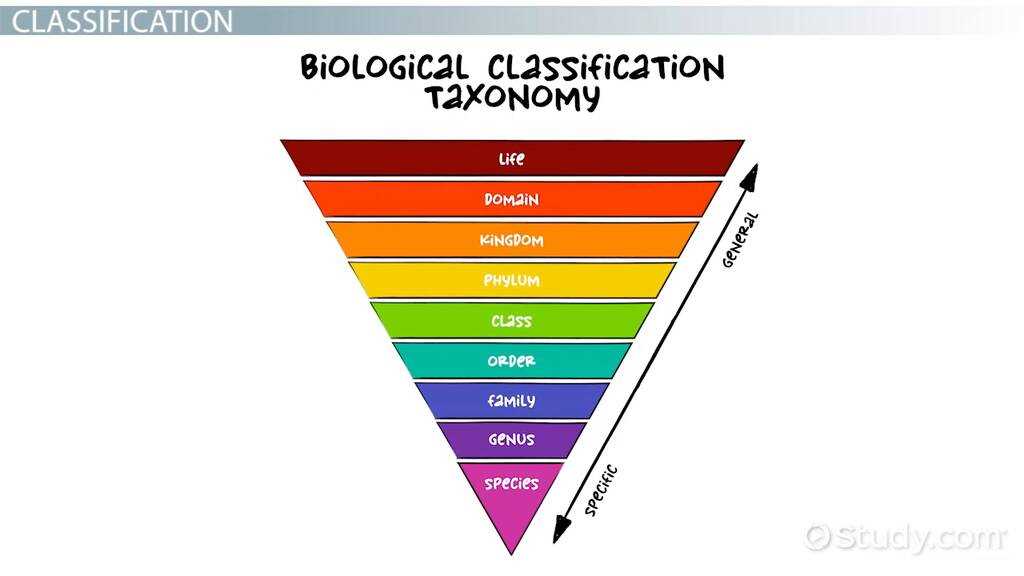 14 genetics problems define these terms in writing answer key