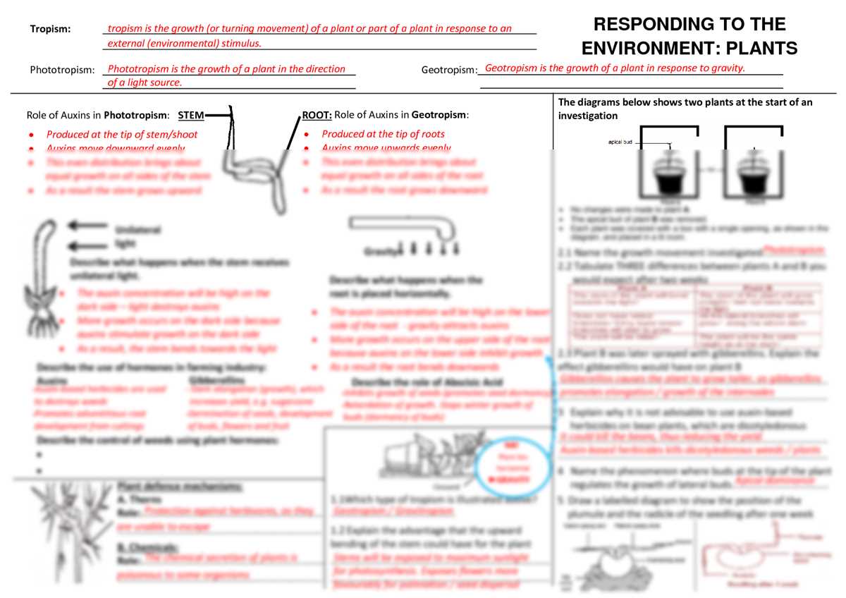 24.3 plant hormones answer key