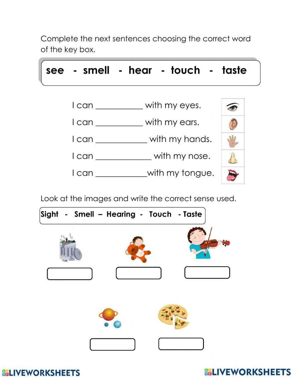 2nd grade science answer key