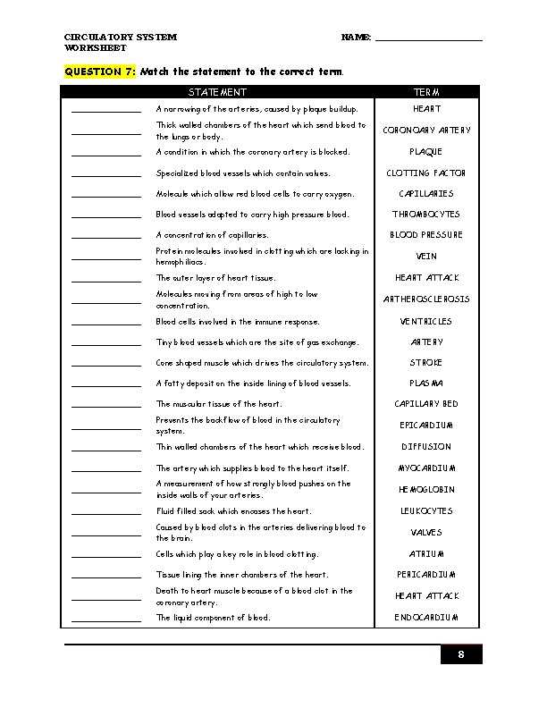 33.1 the circulatory system worksheet answers key