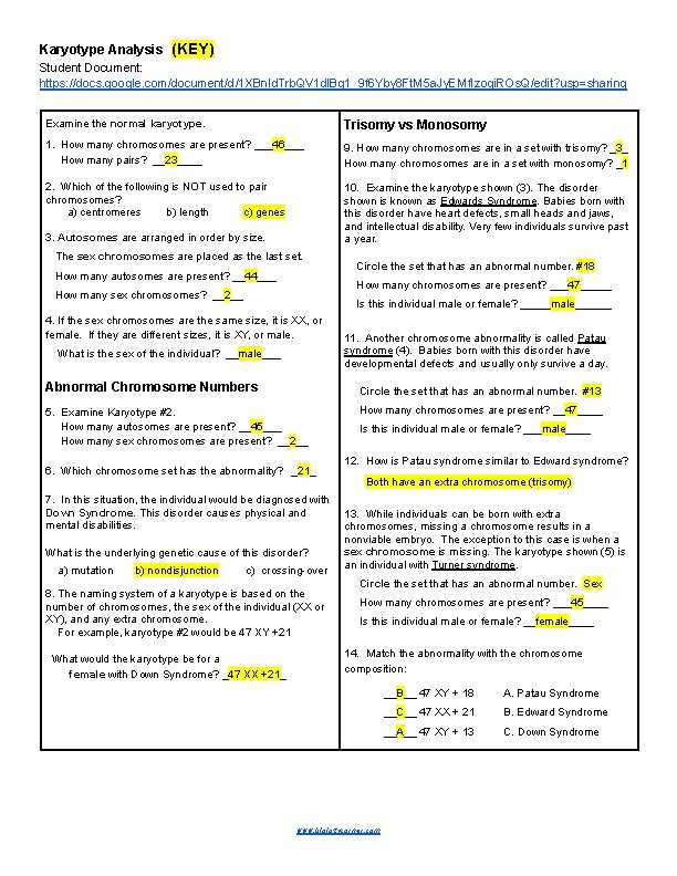 6 karyotype worksheet answers key