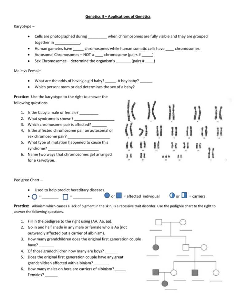 6 karyotype worksheet answers key