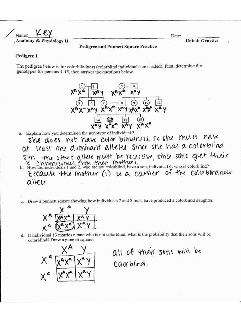 7.l 16.1 and 16.2 heredity and genetic probabilities answer key