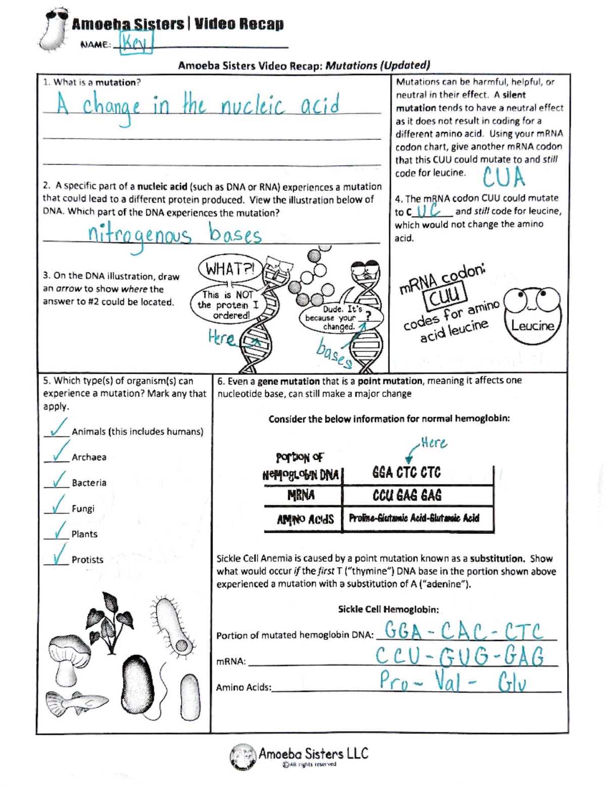 7th grade science cellular respiration test answers key