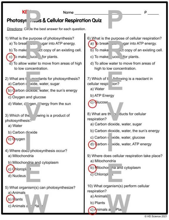 7th grade science cellular respiration test answers key