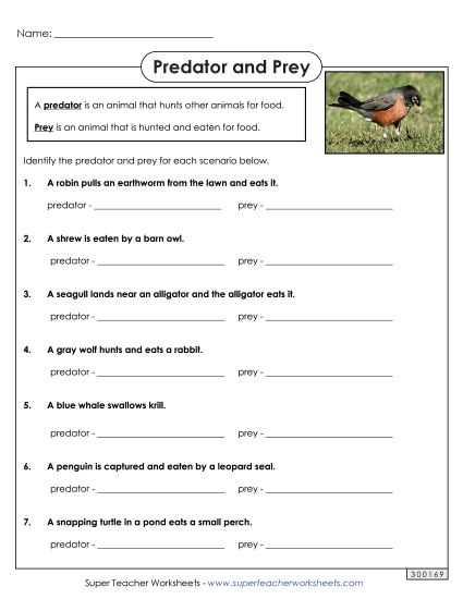 7th grade science worksheets with answer key 7th grade science worksheets with answer key