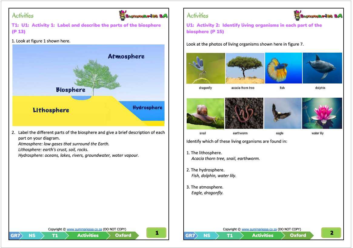 7th grade science worksheets with answer key 7th grade science worksheets with answer key