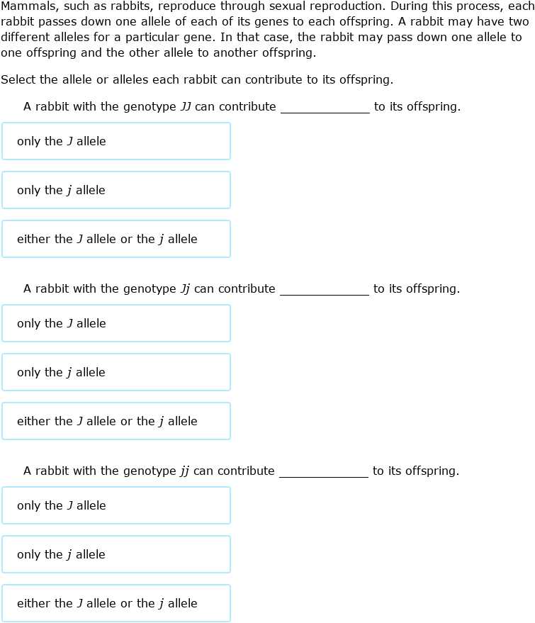 8th grade science answer key ixl