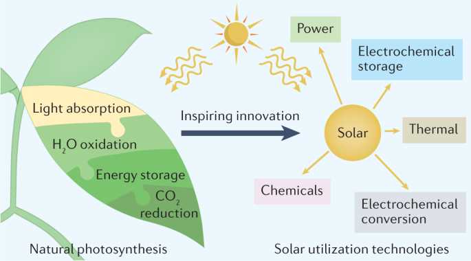 9.2 photosynthesis an overview answer key