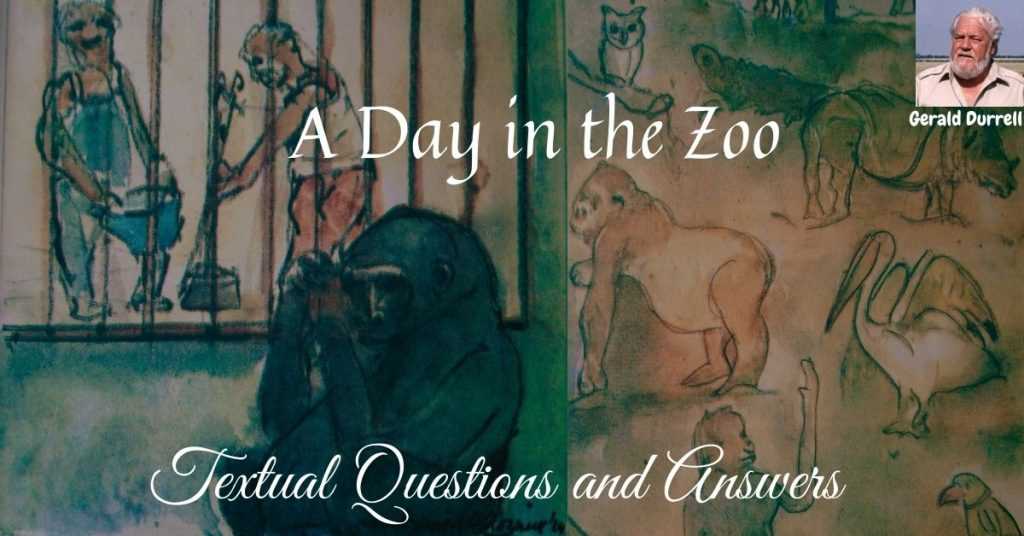 a day at the zoo answer key