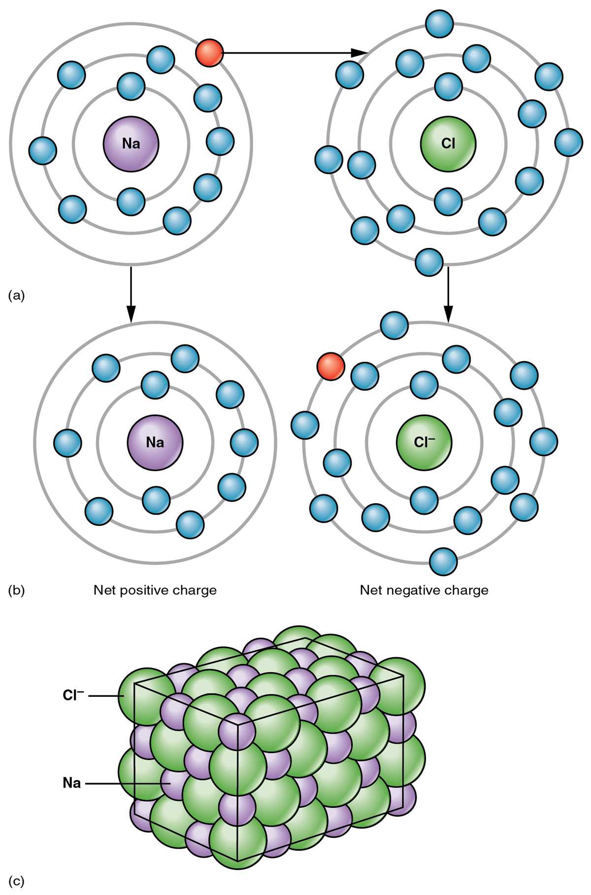 activity 3 bonding by transfer of electrons answer key