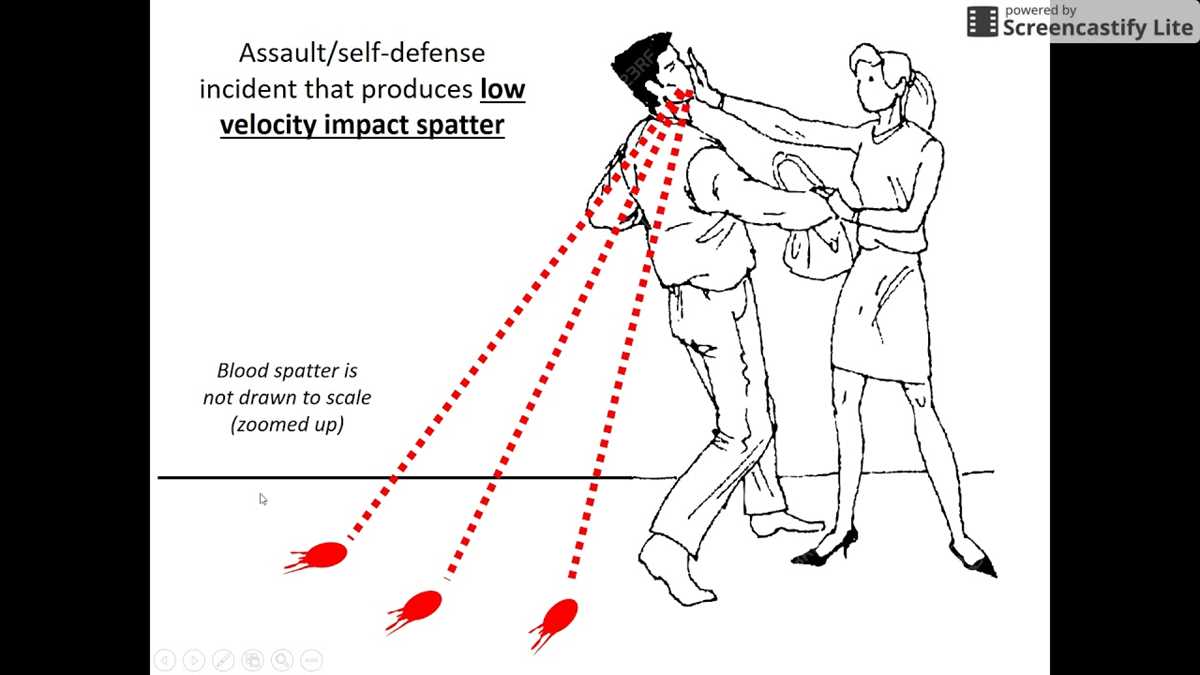 activity 8 6 point of origin answer key forensics