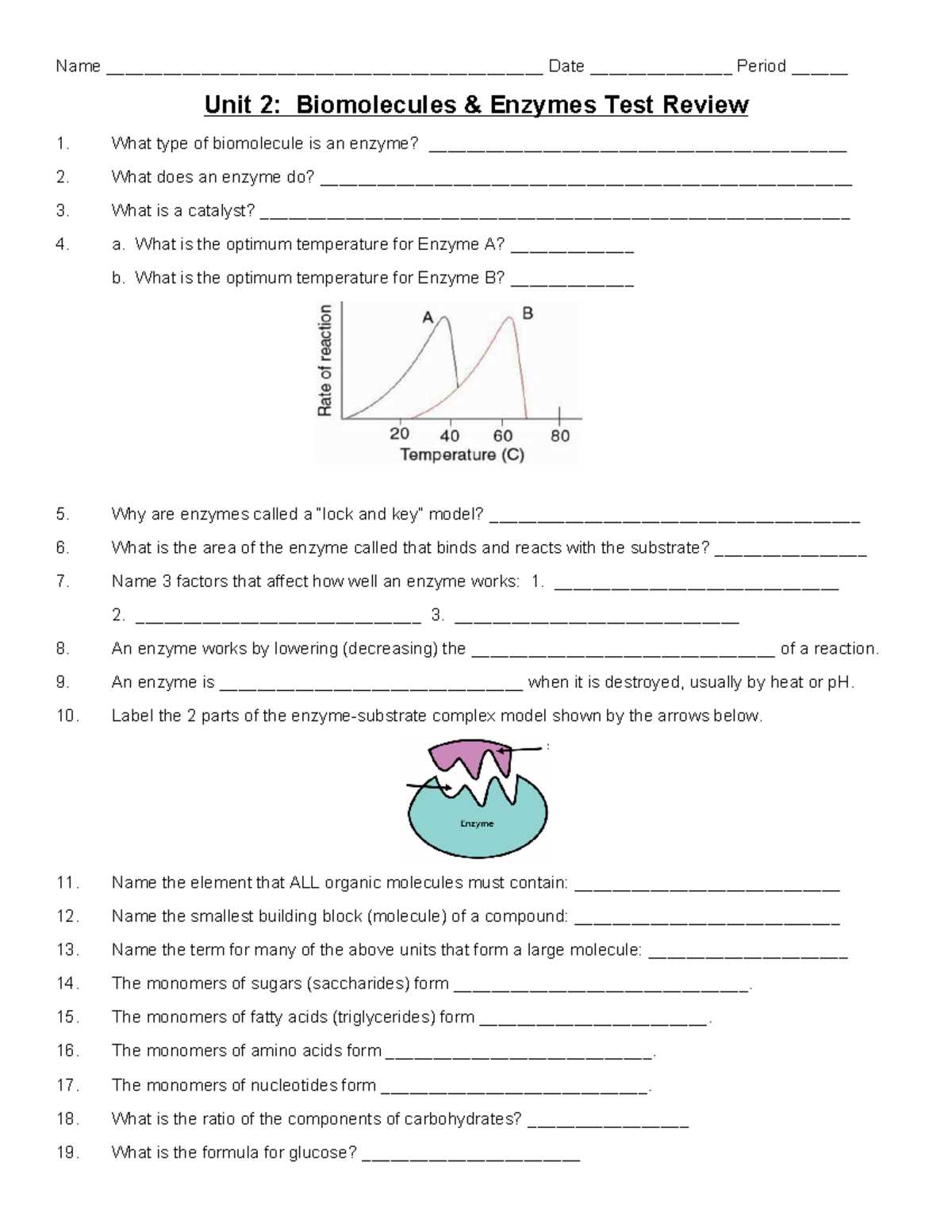 alien food web answer key
