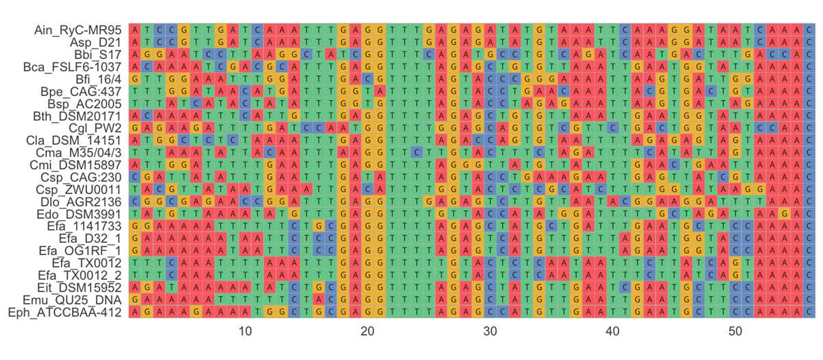 amino acids sequences and evolutionary relationships answer key amino acids sequences and evolutionary relationships answer key