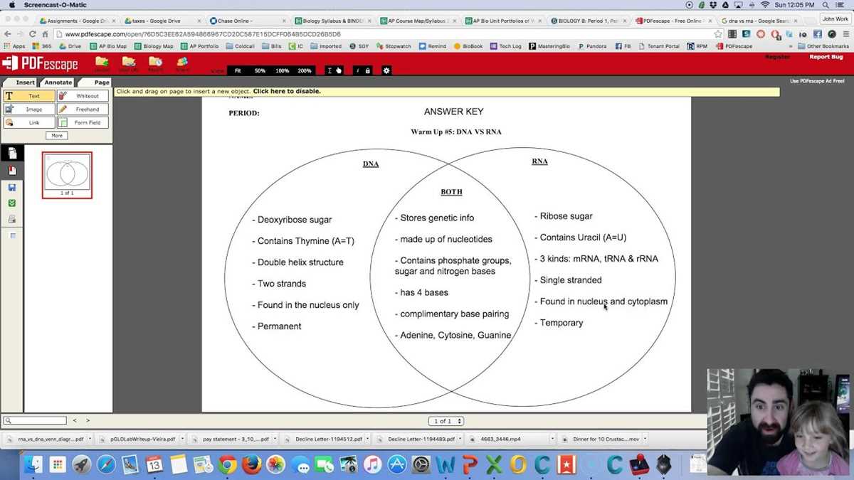 amoeba sisters dna vs rna worksheet answer key