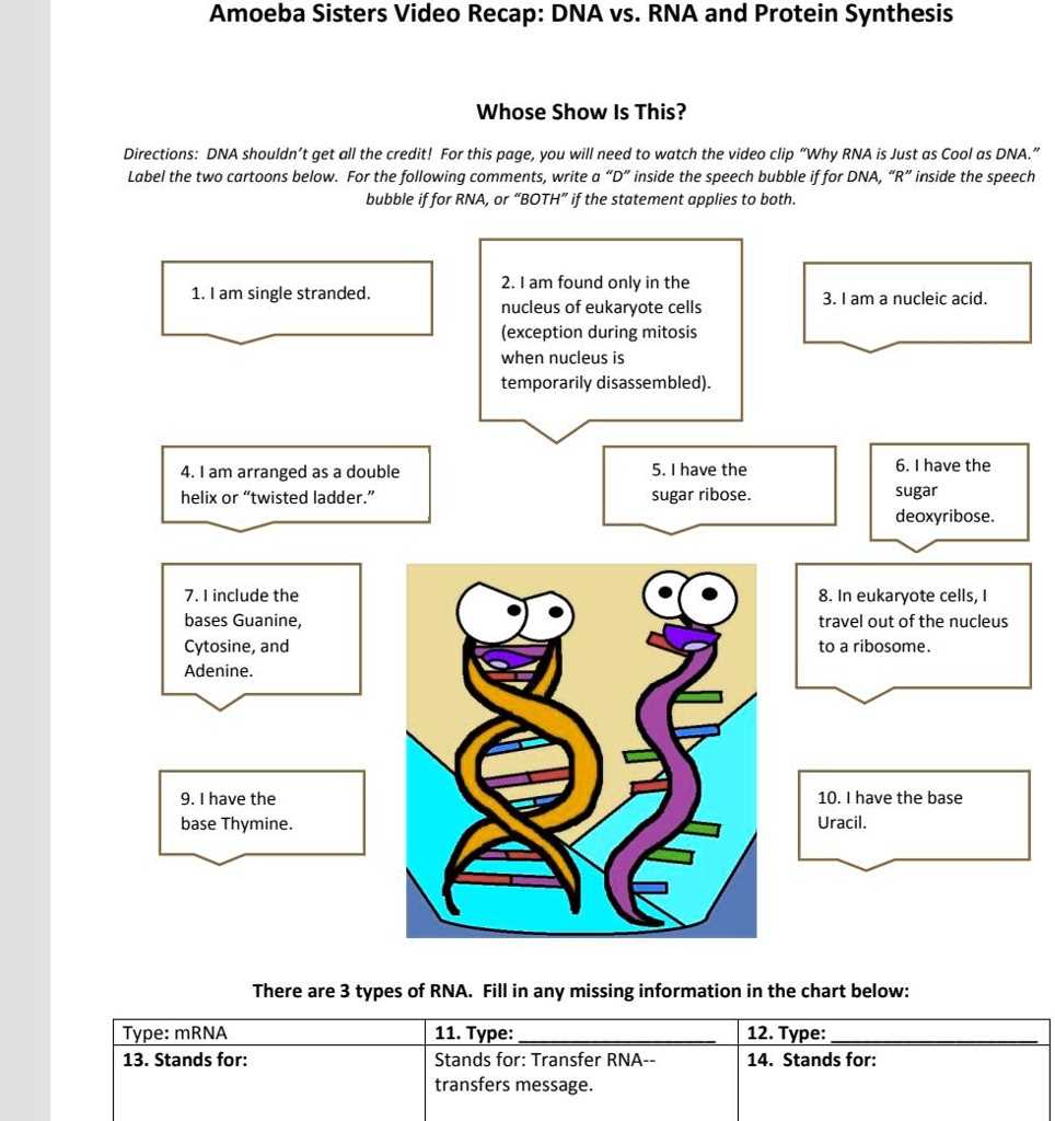 amoeba sisters intro to cells answer key amoeba sisters intro to cells answer key