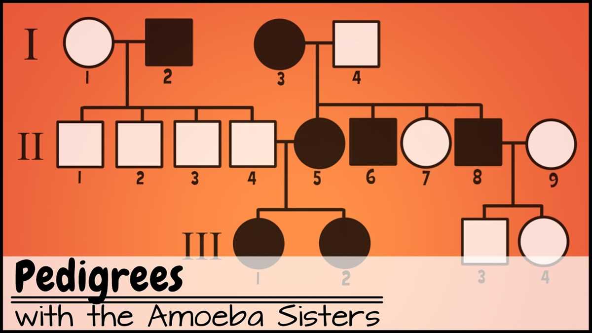 amoeba sisters monohybrid crosses answer key