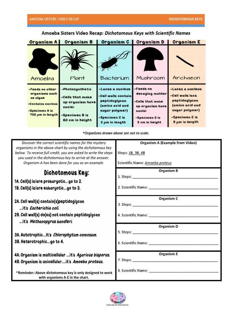 amoeba sisters video recap classification worksheet answer key