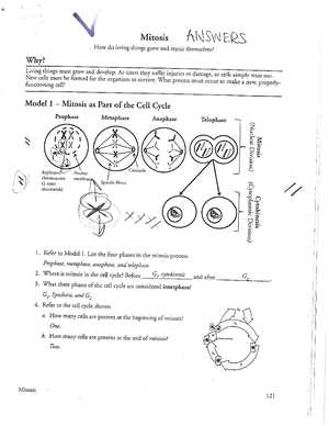 amoeba sisters video select recap speciation answer key