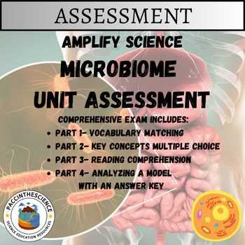 amplify answers key