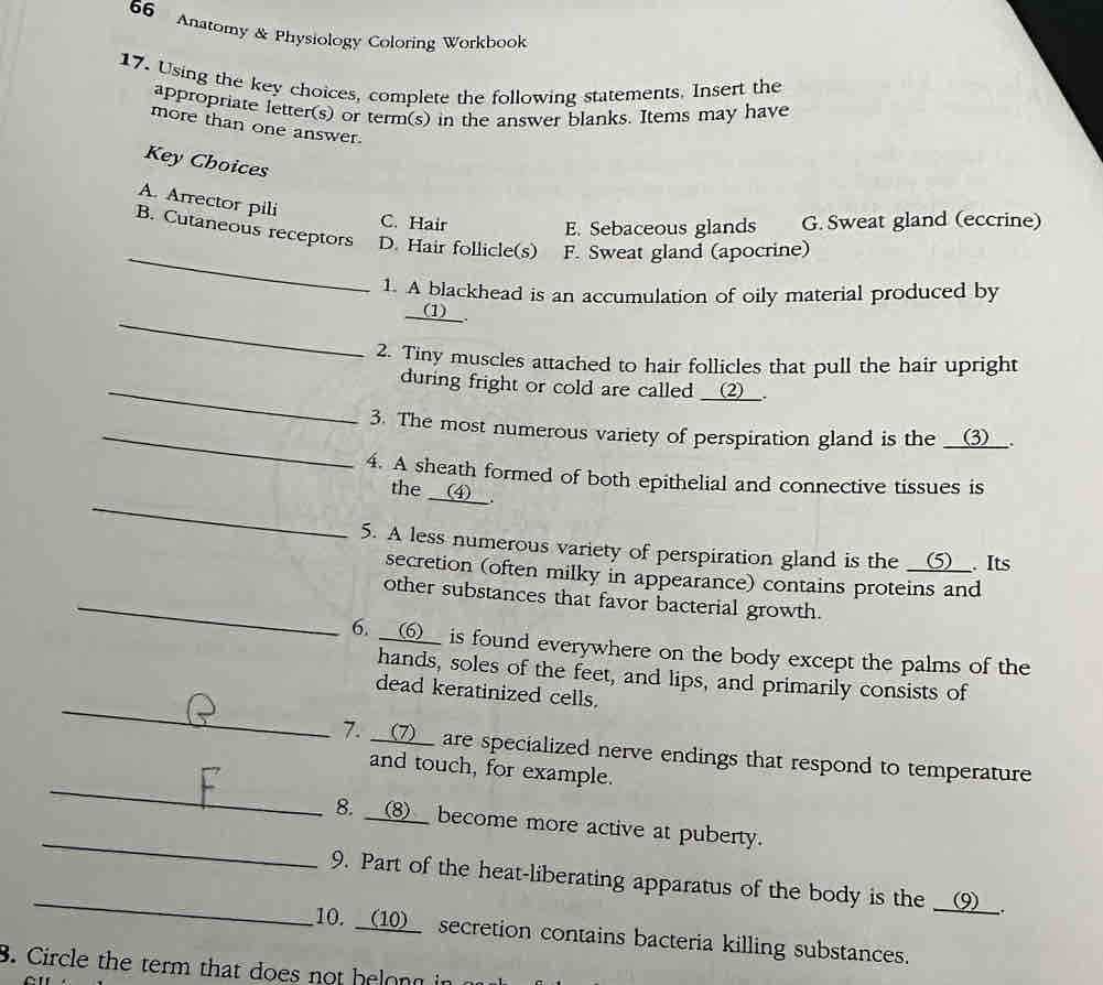 anatomy and physiology coloring workbook answer key
