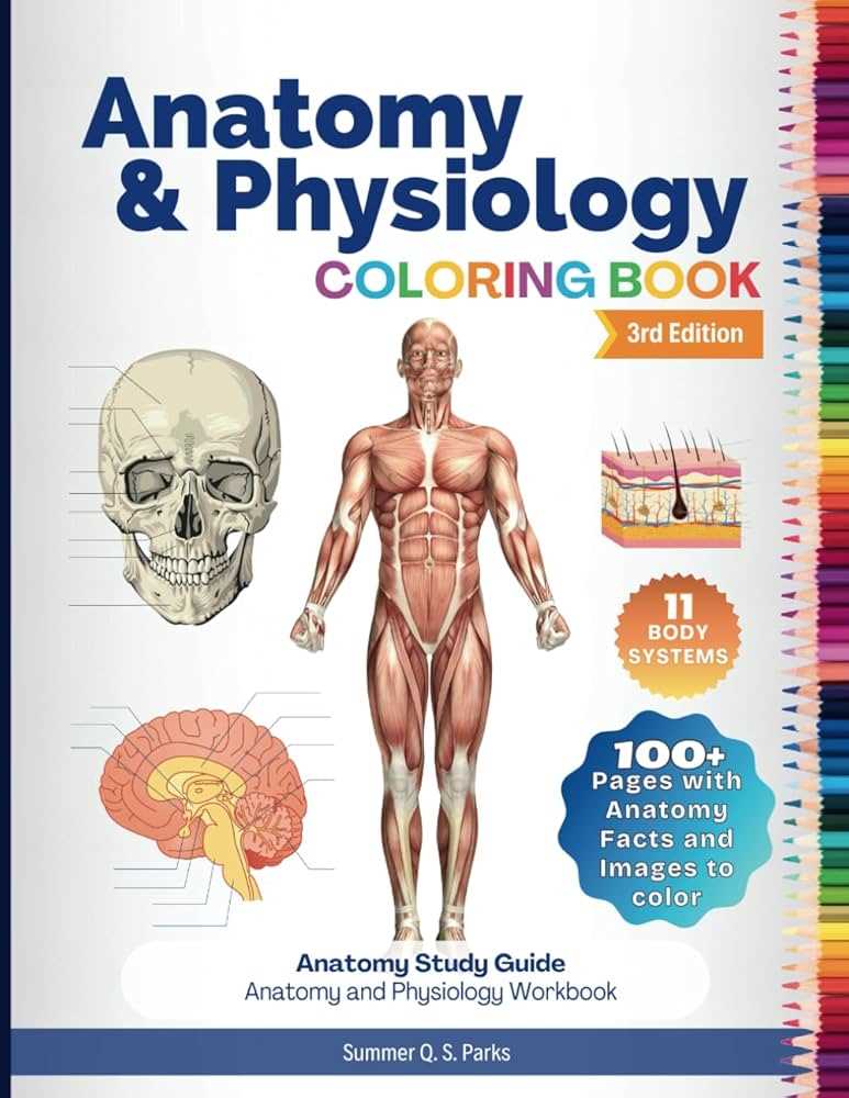 anatomy and physiology coloring workbook answer key chapter 8 anatomy and physiology coloring workbook answer key chapter 8