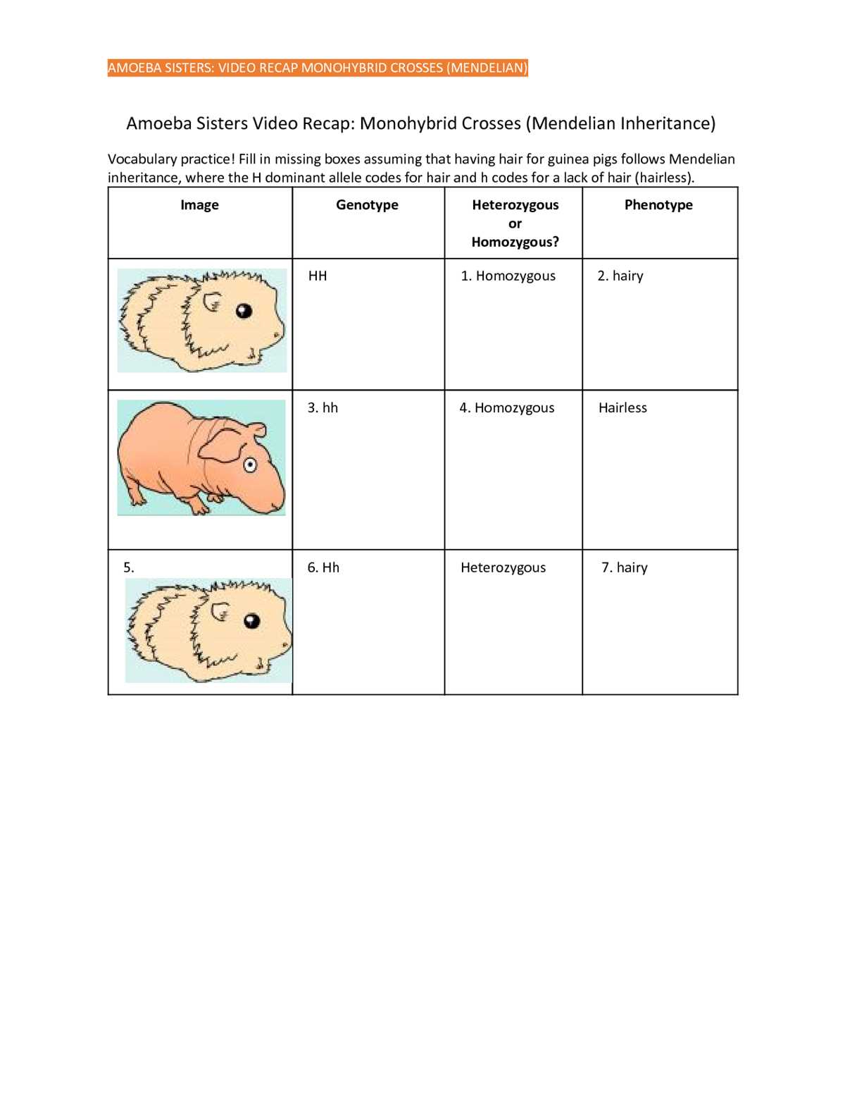 answer key amoeba sisters dihybrid crosses worksheet answers