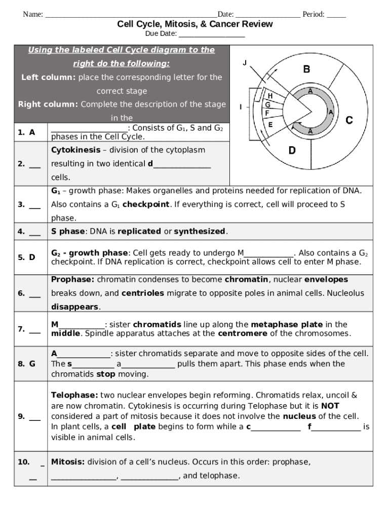 answer key mitosis worksheet