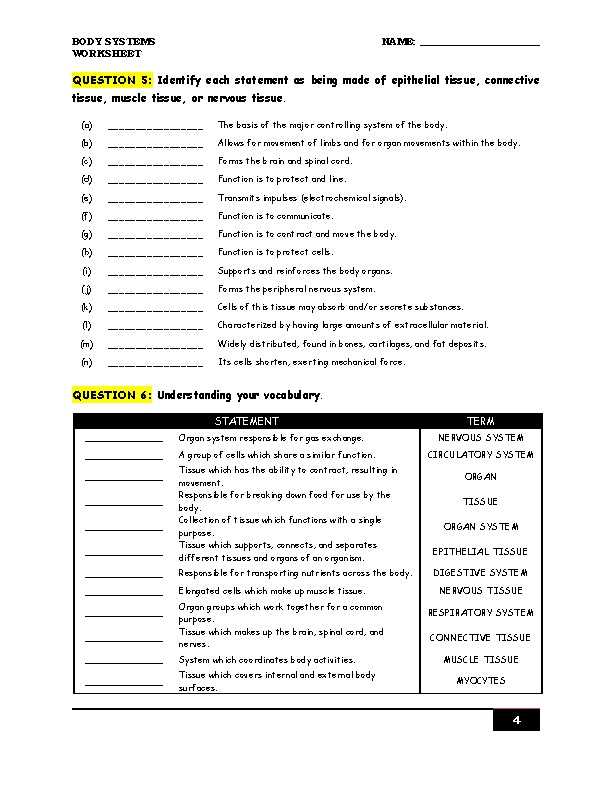 answer key tissue worksheet answers