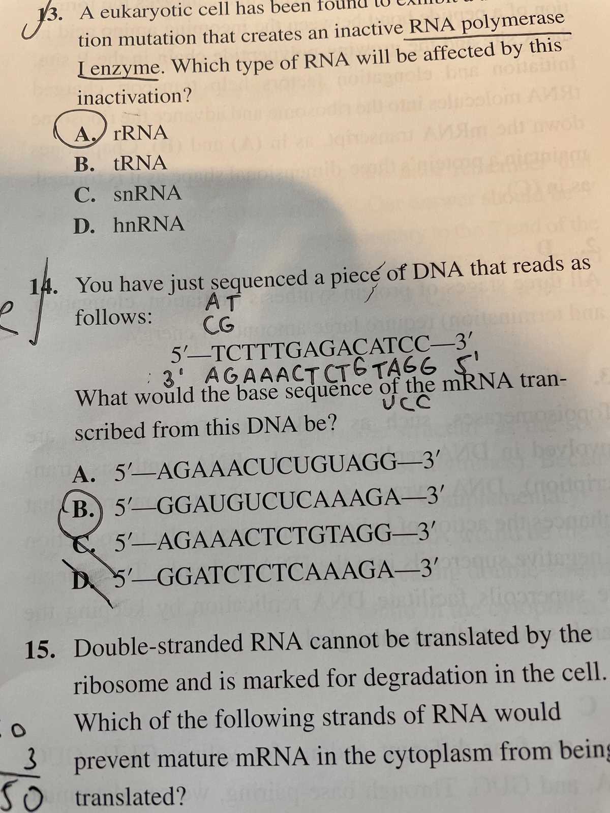 answer key writing conventions strand