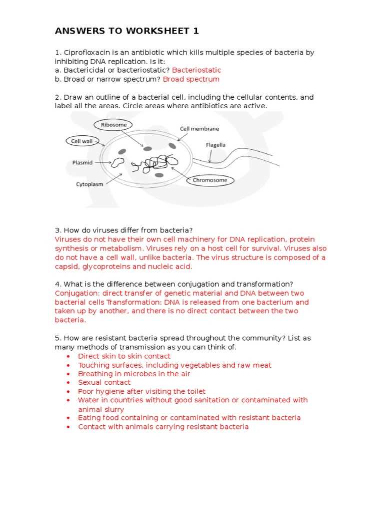 antibiotic resistance internet lesson answer key