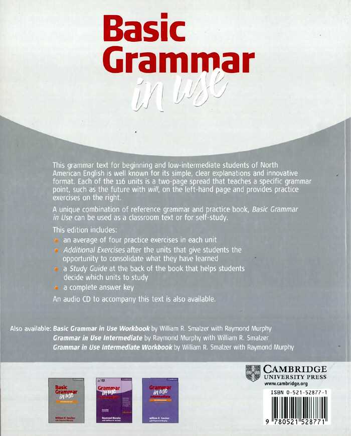 basic grammar in use answer key