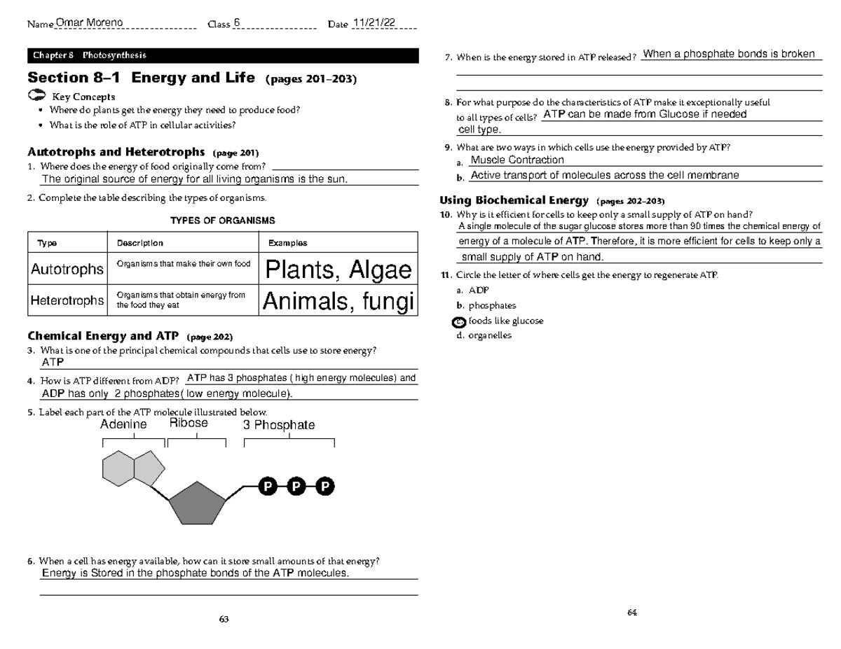 bc science connections 8 answer key