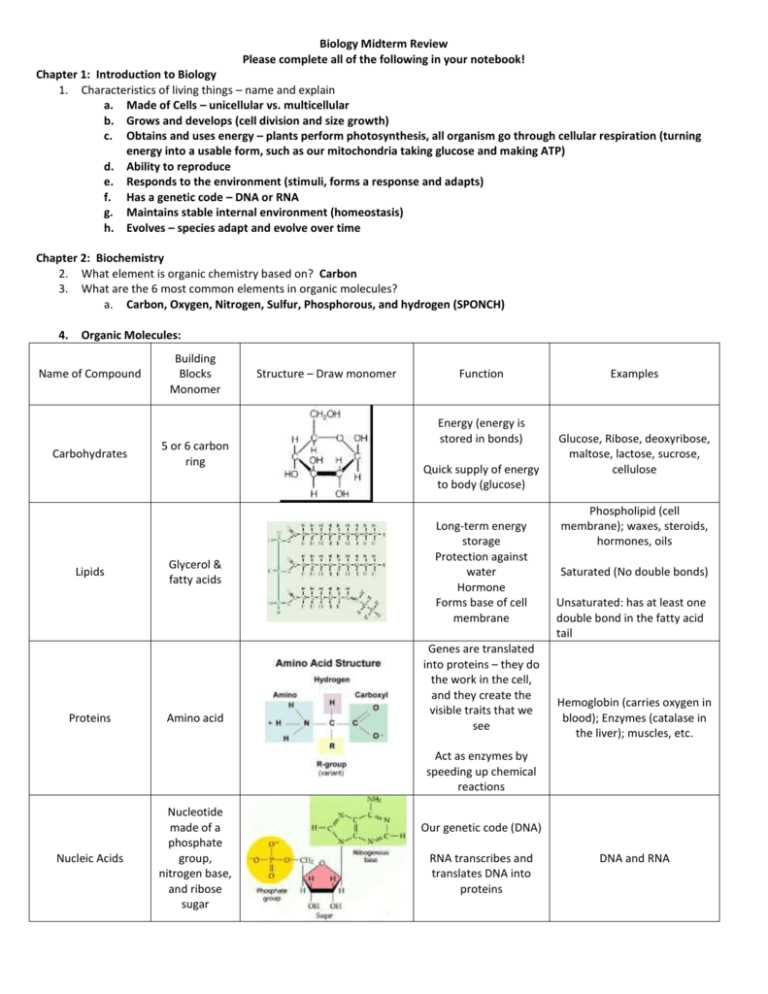biochemistry study guide b answer key