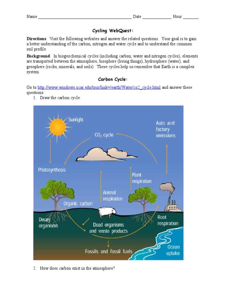 biogeochemical cycle webquest answer key biogeochemical cycle webquest answer key