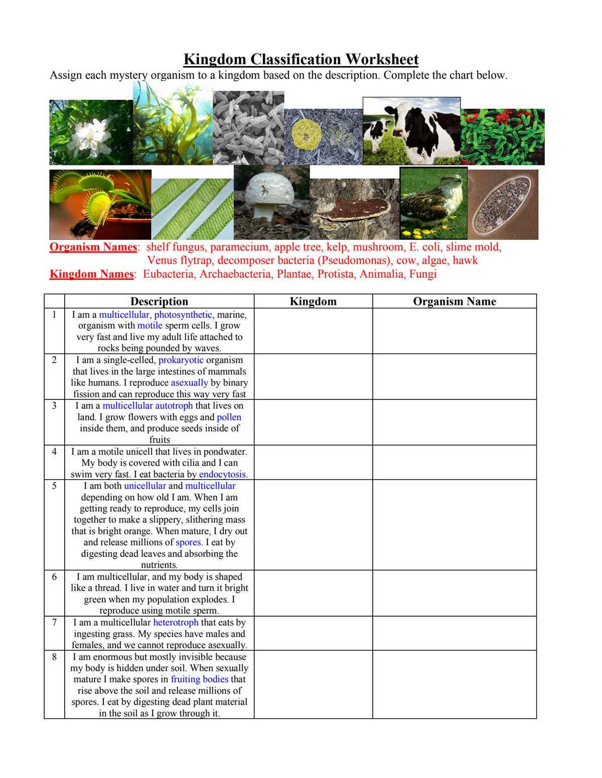 biological classification pogil answers key model 4 biological classification pogil answers key model 4