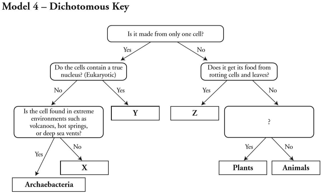 biological classification pogil answers key model 4 biological classification pogil answers key model 4