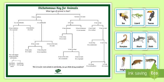 biological classification pogil packet answers dichotomous key