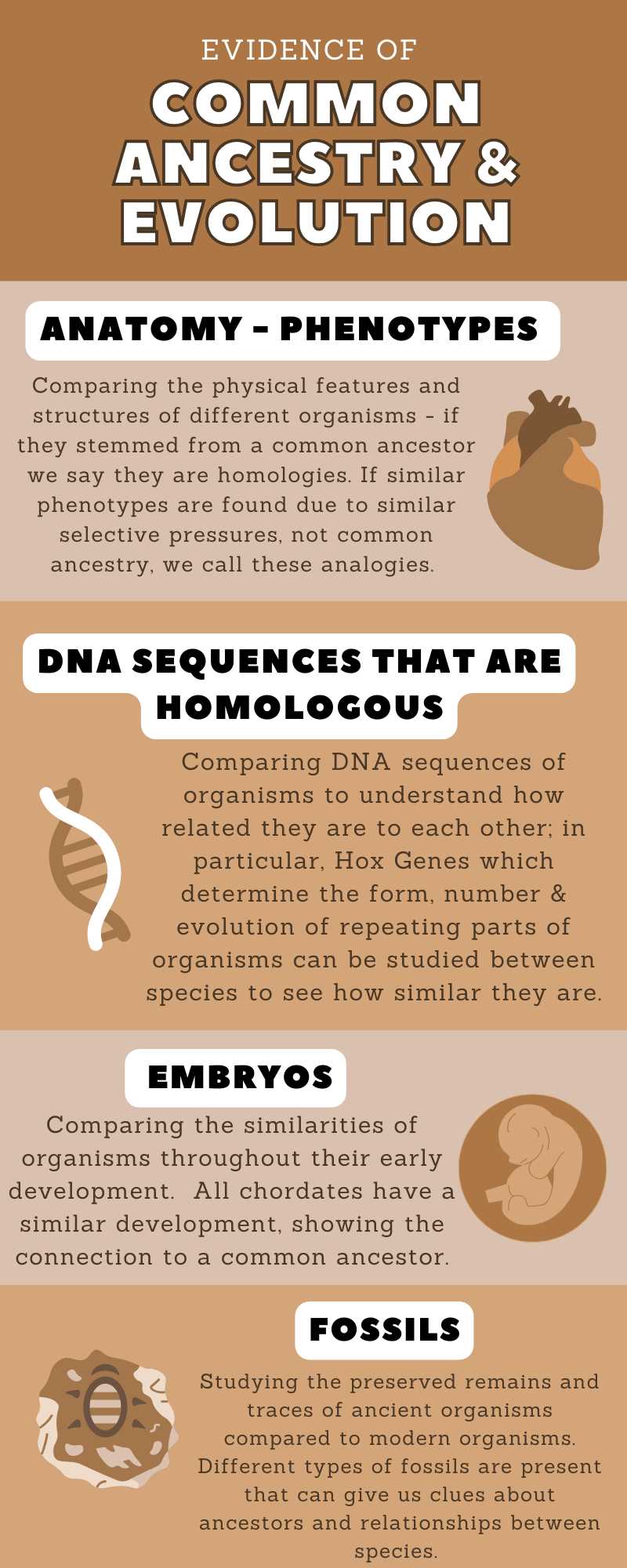 biology 6.1 a changing landscape answer key
