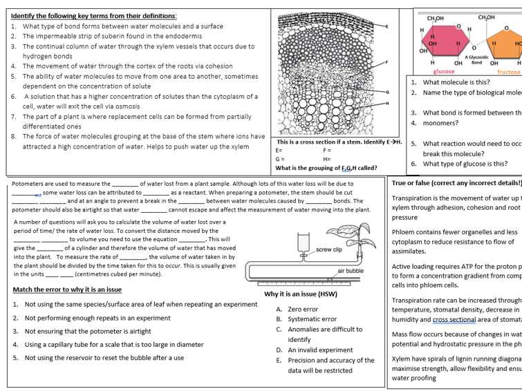 biology chapter 12 and 13 review answer key