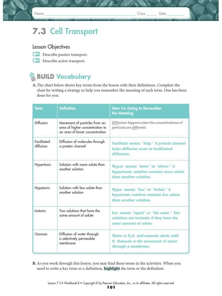 biology sol 2018 answer key