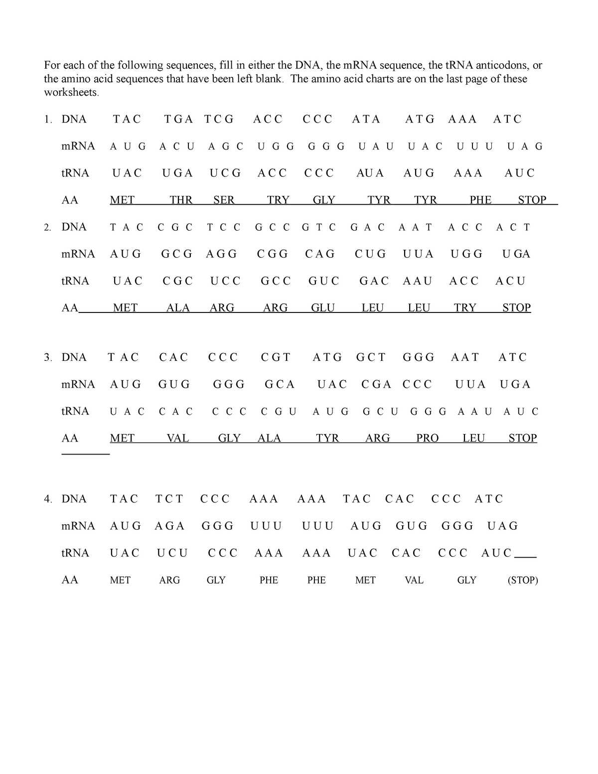 biology transcription and translation practice answer key