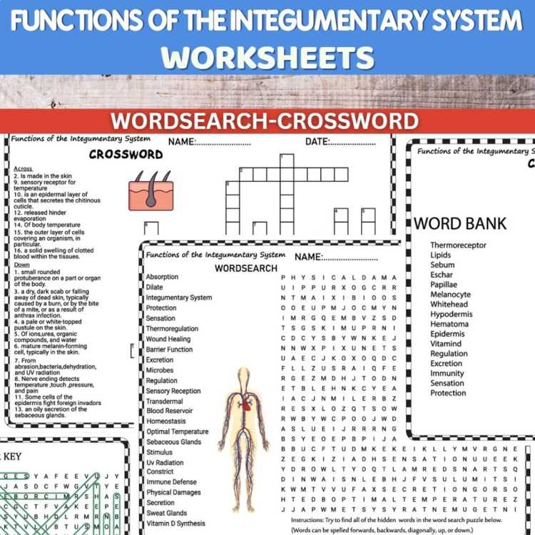biology unit 9 32.1 the integumentary system answer key