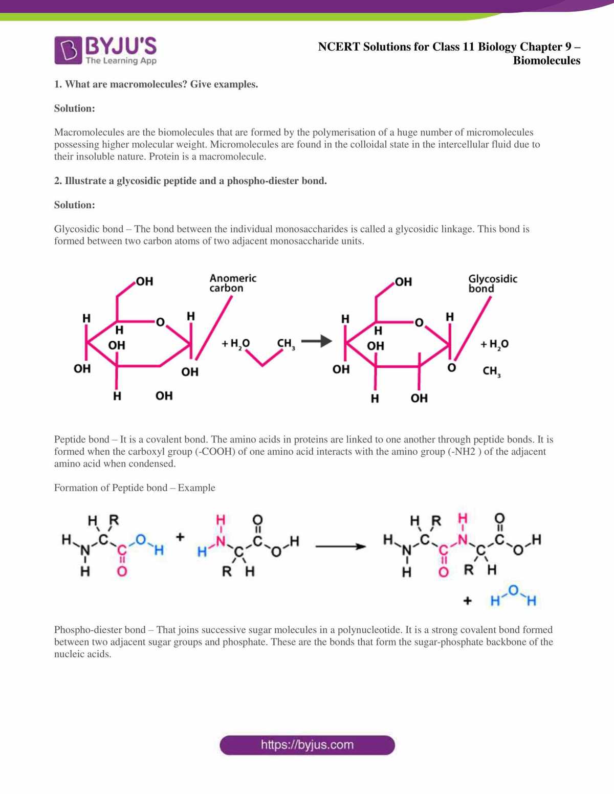biomolecules chapter 2 3 answer key